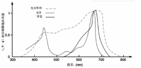 QQ؈D20190905105620.png
