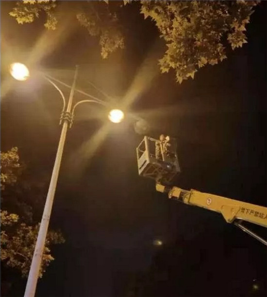 QQ؈D20191107115849.jpg